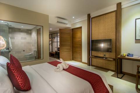 Deluxe-plunge-pool-11
