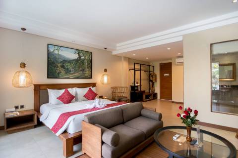 Suite-plunge-pool-16